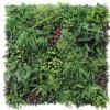 Fern Oasis