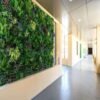 Fern Oasis - Image 4