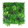 Verdant Beet