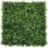 Ivy Escape