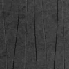 EchoPanel® Current - Image 11