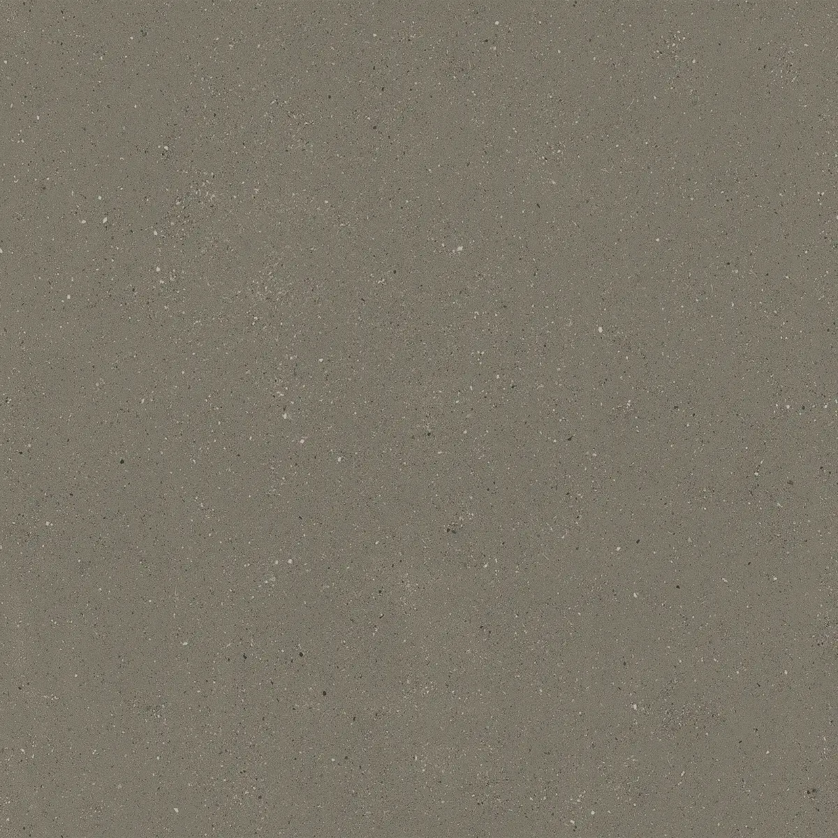 KG/KF 4205 architectural vinyl