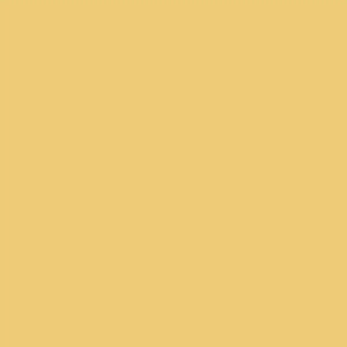 NG/NF 2055 architectural vinyl