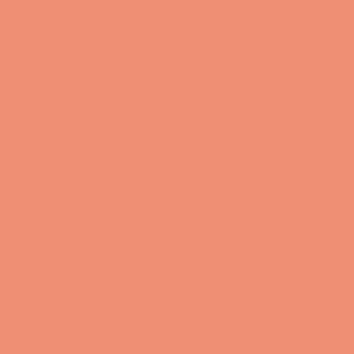 NG/NF 2058 architectural vinyl
