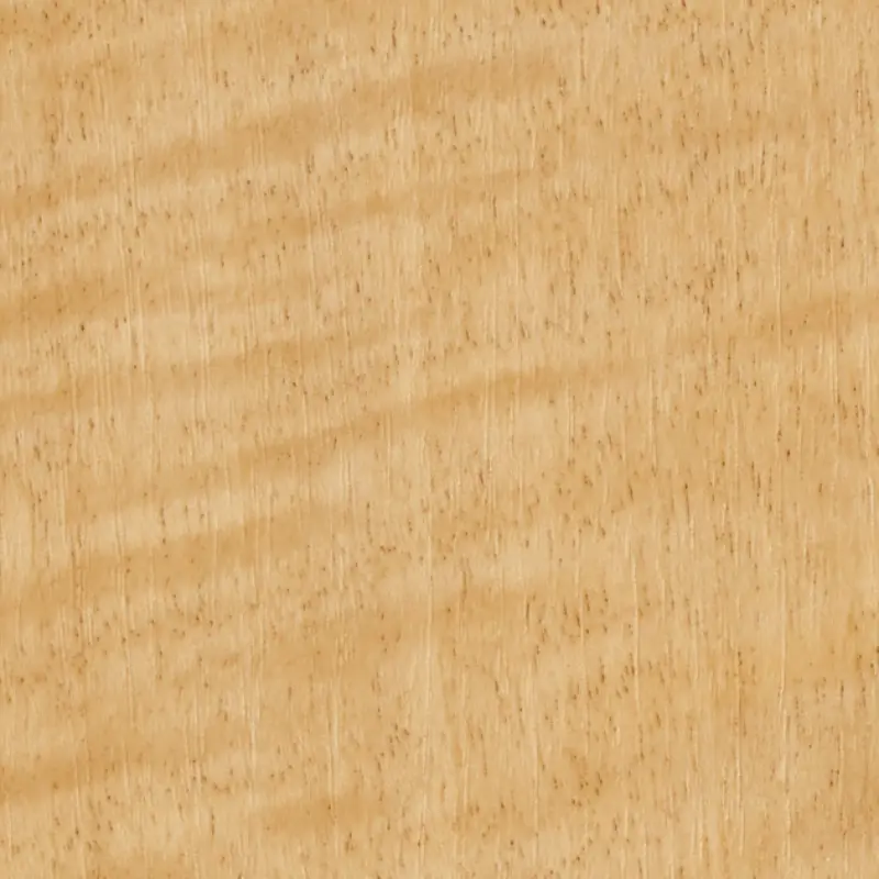 TC-4205 Sycamore SG architectural vinyl