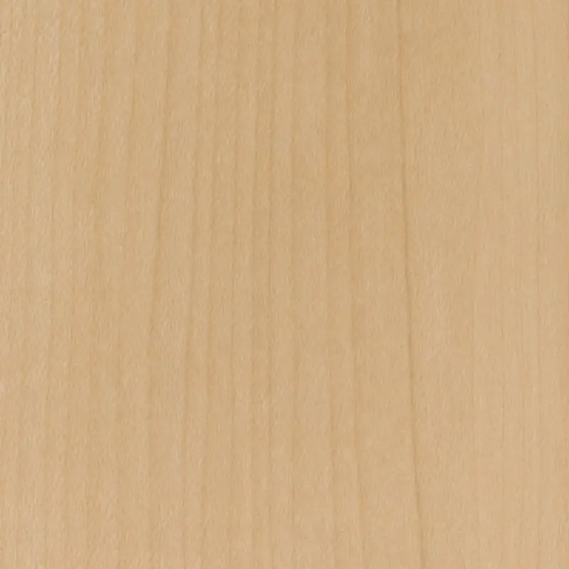 TC-4221 Maple SG architectural vinyl