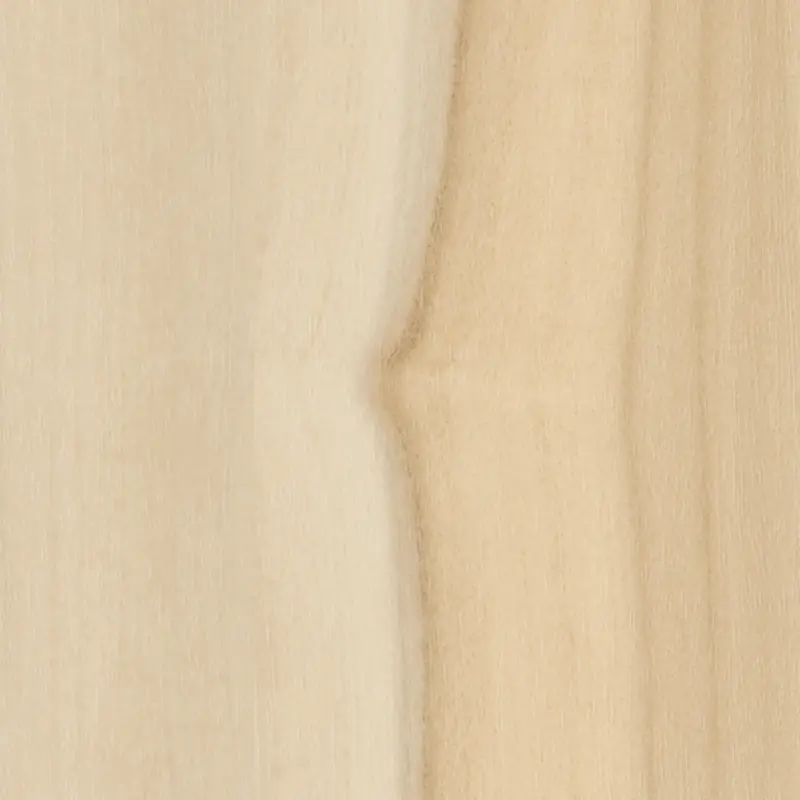 TC-5067 Apple SG architectural vinyl