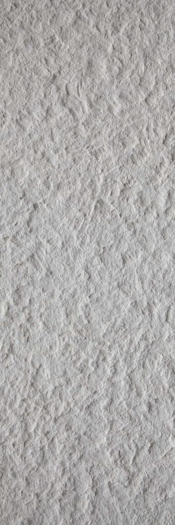 nicci-1