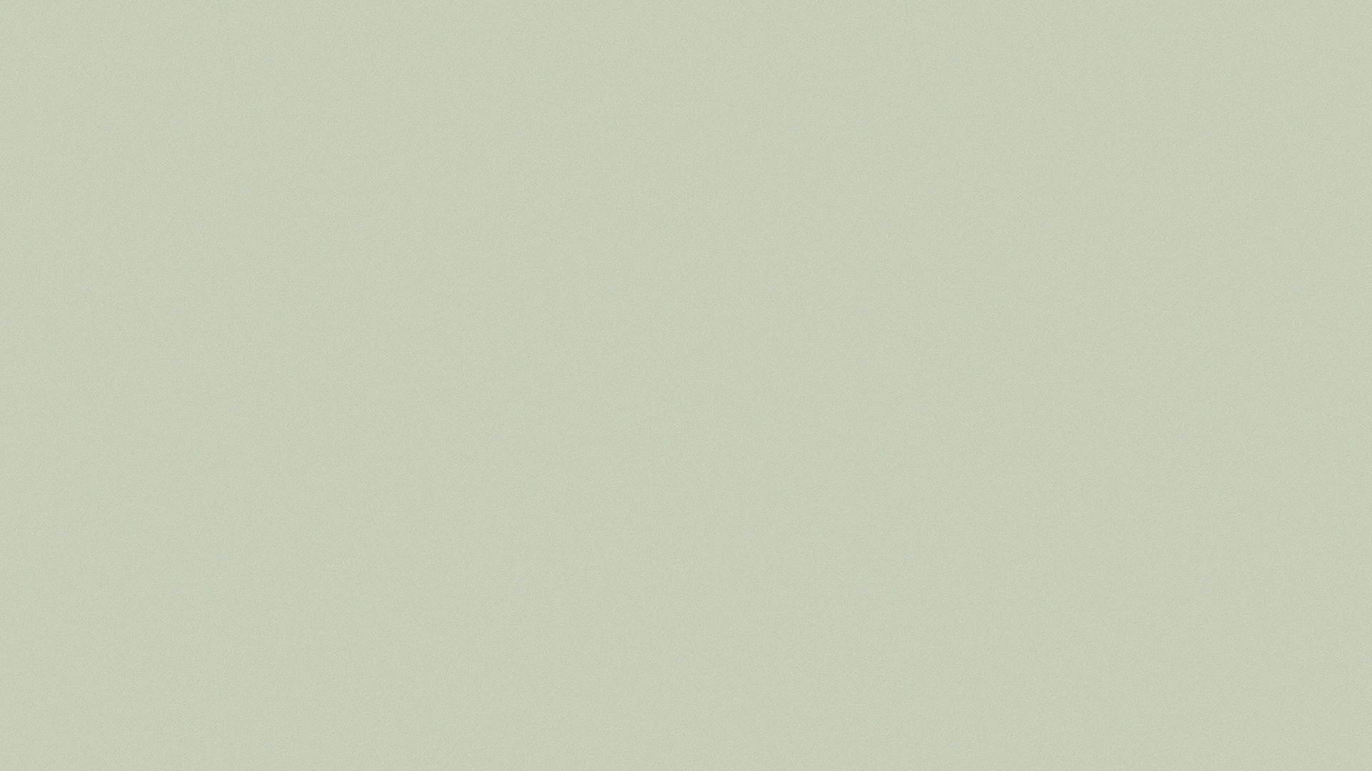 RS189 Interior Film architectural vinyl