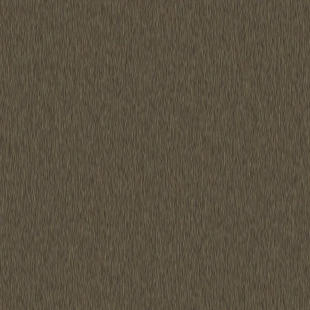 SN006