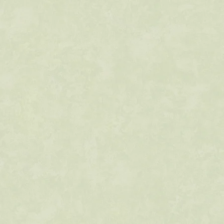 sm019